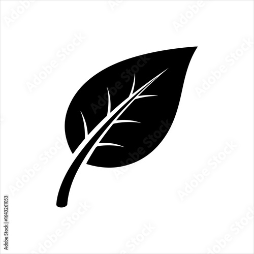 Black silhouette of a single leaf with veins on white background plant nature