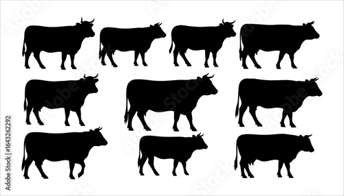 Collection of Black Cow Silhouettes on White Background cattle livestock