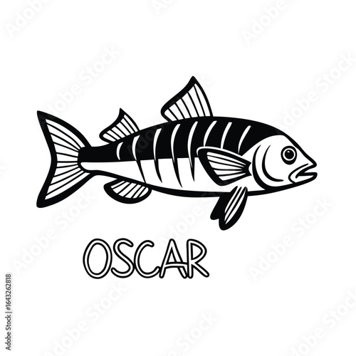 detailed vector outline of an oscar showing fin r.eps