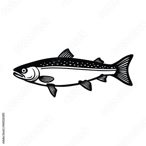 vintage engraved style arctic char illustration f.eps