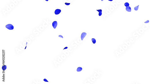 青いバラの花びらの乱舞：背景透過