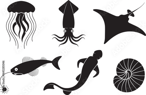 Black marine life silhouettes jellyfish squid manta ray anglerfish dolphin nautilus vector