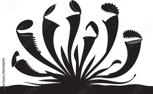Black silhouette carnivorous plants pitcher flora
