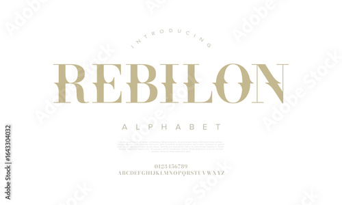 Strong display serif font with bold personality, perfect for impactful titles, branding, and advertising