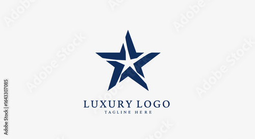 Abstract bright star logo vector illustration for Christmas and winter holiday decoration design