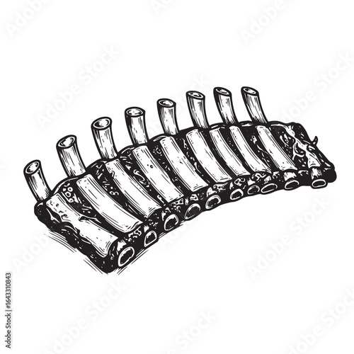Detailed engraved illustration of a rack of delicious grilled barbecue ribs