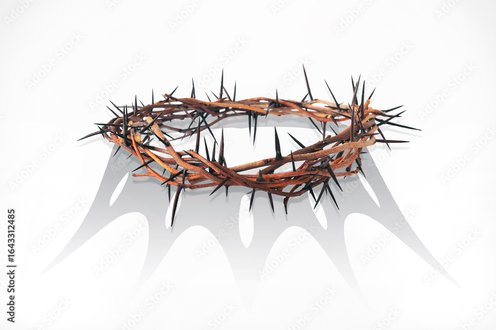 Obraz premium Conceptual crown of thorns