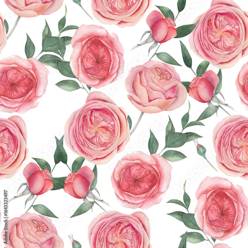 Watercolor seamless pattern with roses. Hand drawn illustration on white background