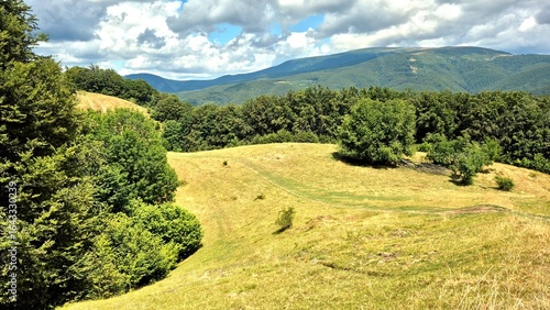 landscape in the mountains