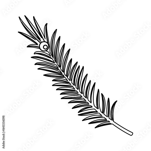 Outline Rosemary twig with berry Aromatic additive to meat, fish and other dishes Minimalist Design