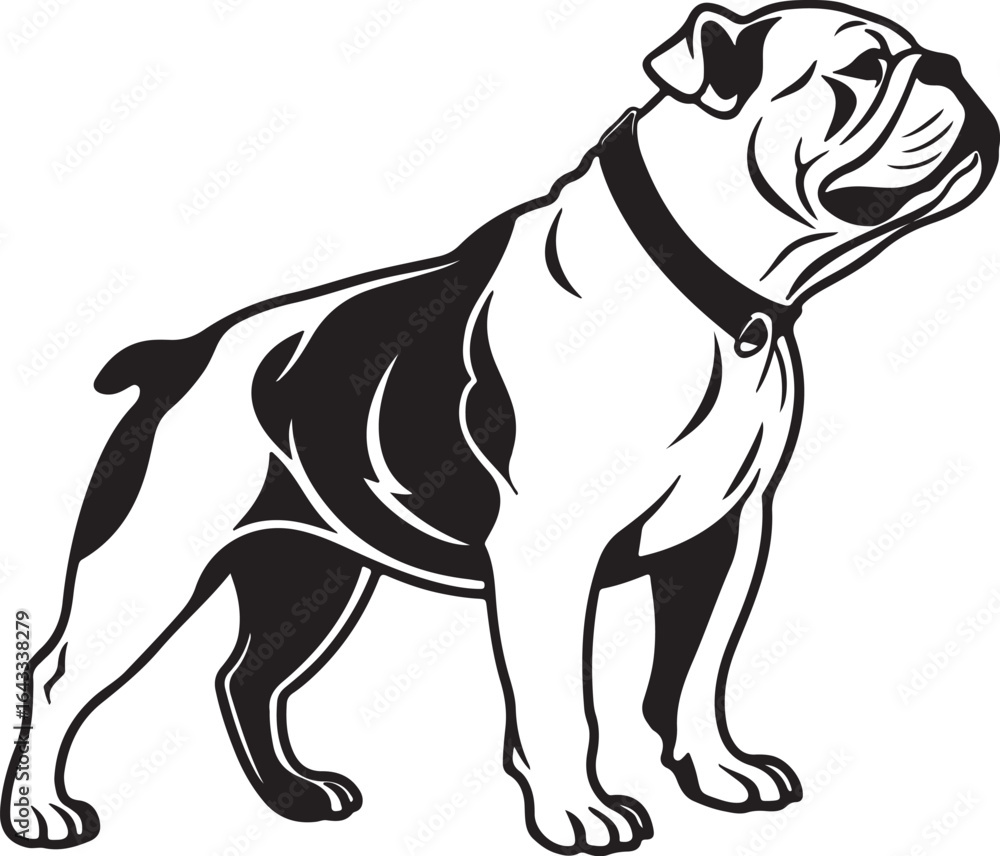 Fototapeta premium Bull dog vector art silhouette image