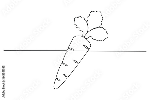 single line art of carrot plant
