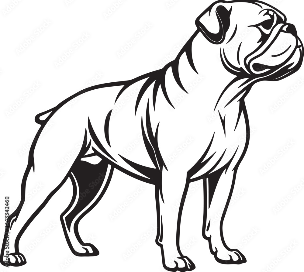 Fototapeta premium Bull dog vector art silhouette image