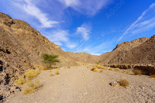 Shlomo Valley landscape in Eilat desert mountains