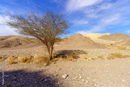 Shlomo Valley landscape in Eilat desert mountains