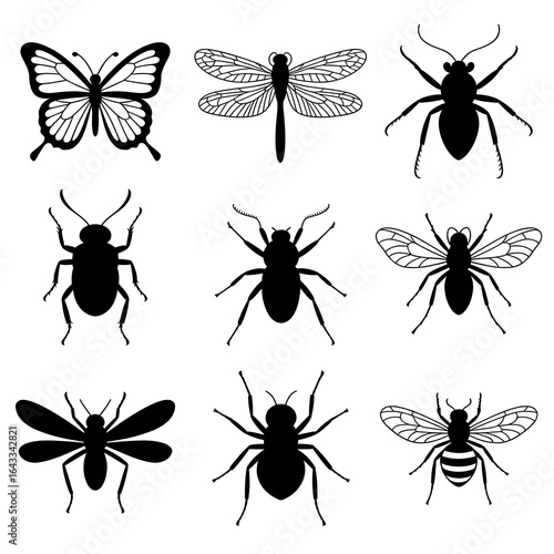 Beautiful butterfly, dragonfly, bee, and insect silhouettes for nature designs and educational projects