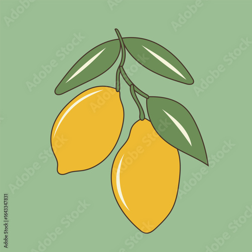 Fresh Lemon Fruit. Lime Citrus in Amalfi Style Graphic Illustration. Positive, Vibrant and Happy Outline Art. Mediterranean Summer Travel and Resort Rest Theme. Retro Vintage Poster Background Print