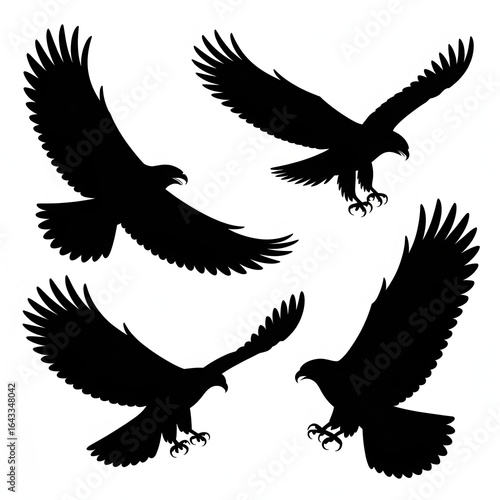Dynamic eagle silhouettes capture majestic flight and predatory grace, perfect for powerful design elements.