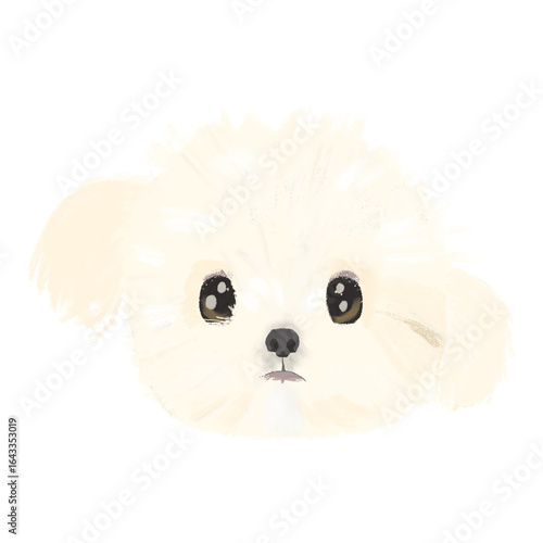 White Maltese Dog Face In Oil Pastel Illustration as Vector
