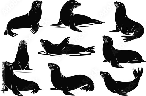 Black silhouette sea lion vector collection, diverse poses of marine mammals, ocean wildlife illustrations, aquatic animals in natural behaviors