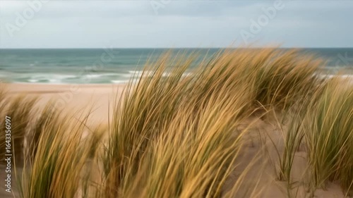 Wallpaper Mural Coastal Grasslands Under a Windy Sky Torontodigital.ca