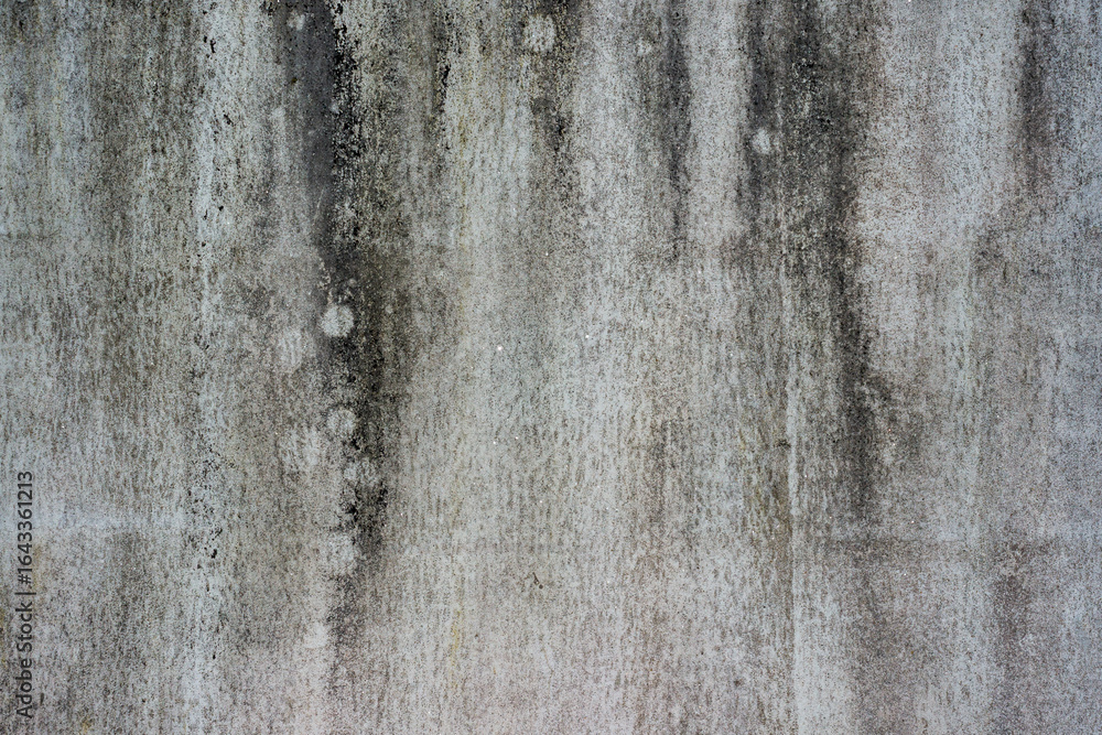 Fototapeta premium dirty on old cement wall with mold texture