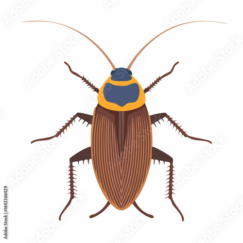 Detailed Illustration of a Colorful Cockroach. Top View. Insect Icon Design.