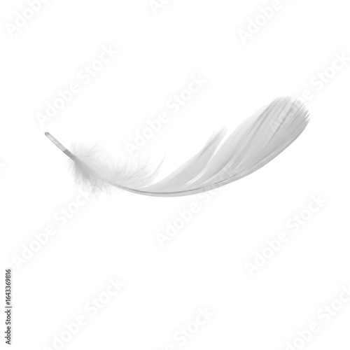 A single delicate white feather with soft fluffy barbs, isolated on a clean transparent background