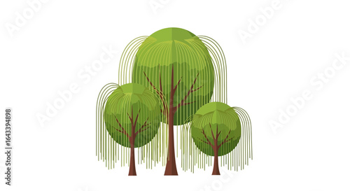 Elegant weeping willows in various sizes against pristine white backdrop