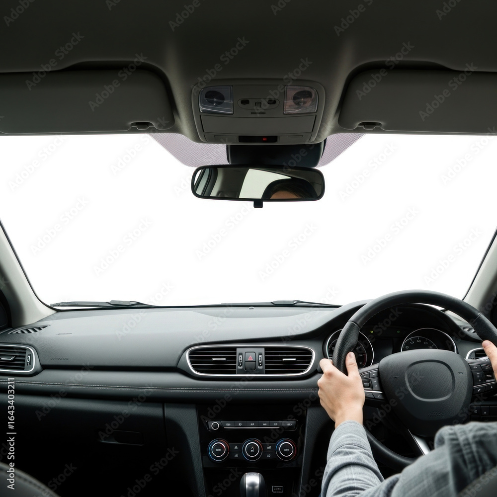 Naklejka premium driving a car