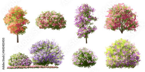  Vector watercolor blooming flower tree or forest side view isolated on white background for landscape and architecture drawing,elements for environment or and garden,green tree for garden section 