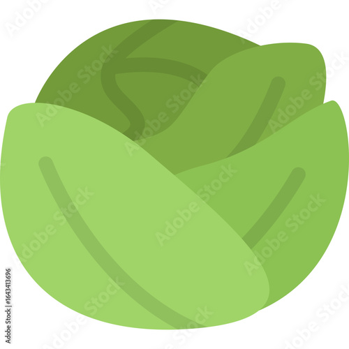 Fresh Cabbage Vector Icon