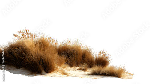 Fototapeta Naklejka Na Ścianę i Meble -  Dried grass isolated on white background
