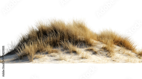 Fototapeta Naklejka Na Ścianę i Meble -  dune with brown grass isolated on white background