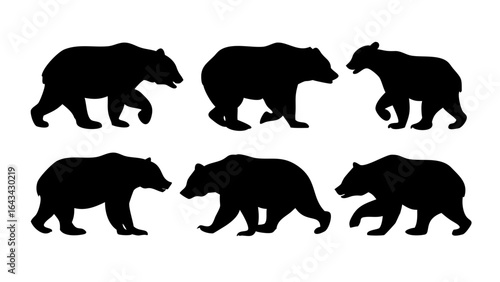 Black bear standing on hind legs Ursus americanus animal