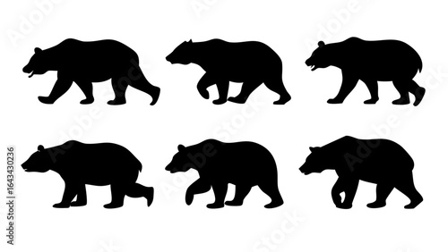 Black bear standing on hind legs silhouette animal