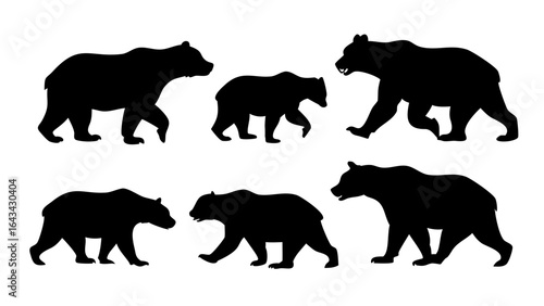 Black bear standing on white background silhouette