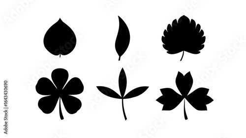 Black leaves on a pure white background leaf foliage