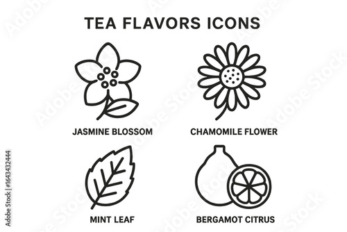 Tea flavors line icon set. Herbal infusions and natural ingredients. Vector collection of jasmine, chamomile, mint, and bergamot citrus. Outline symbols for packaging design.