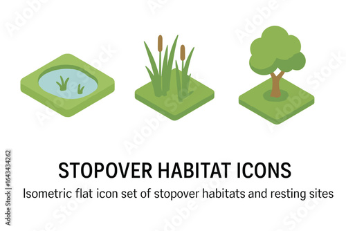 Isometric stopover habitat icons set. Vector illustration of wetland pond, marsh reeds, forest edge tree. Migratory bird resting sites, nature conservation, protected area, eco environment concept.
