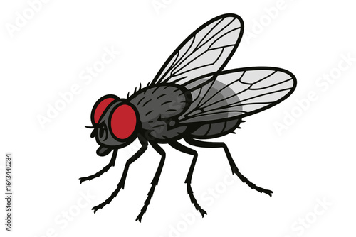 Housefly vector illustration. Common housefly cartoon character. Pest control, infestation concept. Insect, bug icon with big red eyes. Zoology, entomology graphic element.