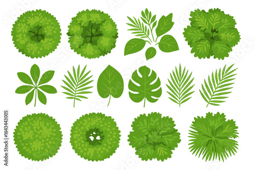 Tree top view foliage and tropical leaves vector set for landscape design, botanical illustration, eco projects, nature elements, greenery, garden, plants, environment, palm, jungle, summer