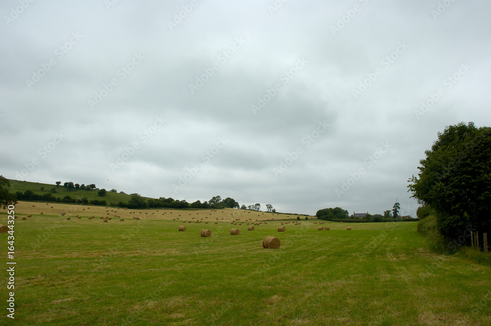 A field of hay bales under a cloudy sky. A field of hay bales under a cloudy sky.