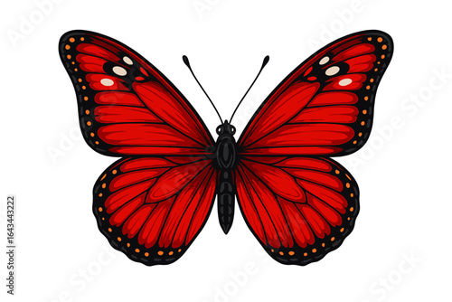 Vibrant red butterfly illustration, detailed monarch style insect graphic. Symbol of nature, summer, beauty, and transformation. Isolated vector design element for decoration.