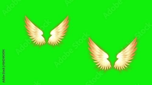 Angel birds flying wings animation video green screen.