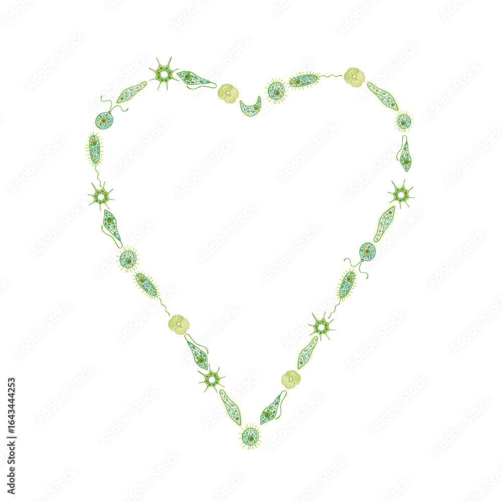 Obraz premium Heart shaped frame made of green single-celled organisms, phytoplankton on white background. Watercolor illustration hand drawn in cartoon style. Drawing for stickers, book, poster. Biology, ecology