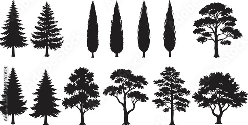 Tree silhouette set, pine, fir, cypress, deciduous tree collection, vector illustration, black nature clipart, forest icons, landscape design elements