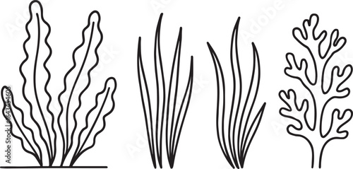 Minimalist seaweed line art marine plant set design vector illustration