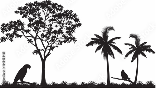 Silhouette of trees and parrots in a tropical setting with grass and white background scenery view |  editable eps vectors