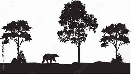Silhouette of a bear walking in a forest with tall trees and small conifers against a white background |  editable eps vectors